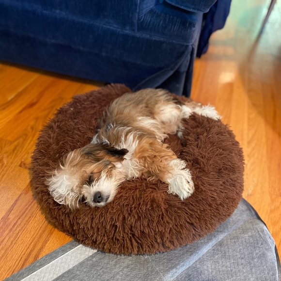 Meet your Posher, Devin - Picture 1 of 1